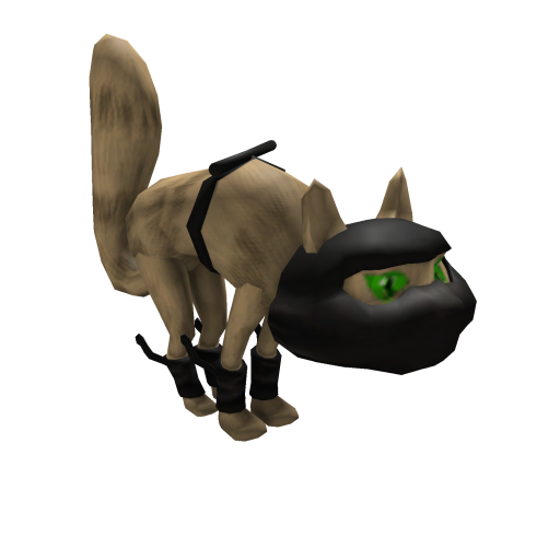 DarkAge Ninjas: Ninja Kitteh