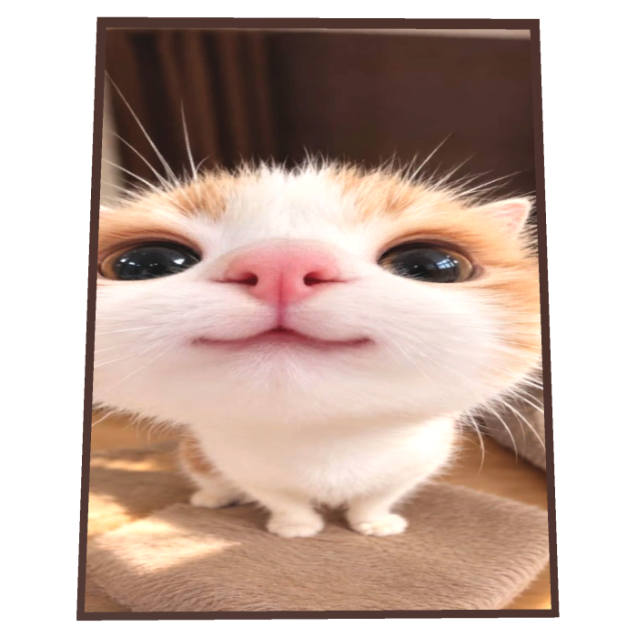 Adorable Cat Cape