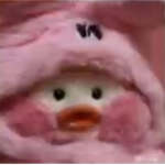 루나의 행복한 그룹