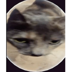 Ēthereal