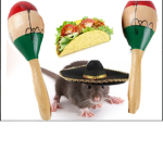 grupo do ratinho