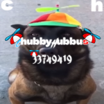 chubbyhubbus