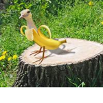 Banana Bird group