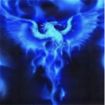 NooB Offical Fan Group