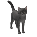 Roblox entity thumbnail