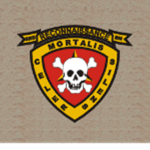 Alpha Company 3rd Recon Battalion