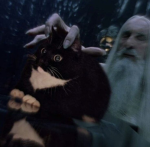 Faction of Wizards and Witches in Robloxia