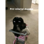 Prstetic