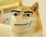 cult of furry
