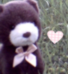 beaars
