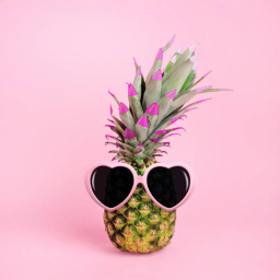 Juicy Pineapple Clothing Store!