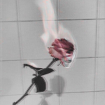H o n e y~
