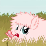 PINK_UNICORN CHAT