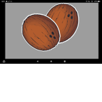 Coconut Group Offical