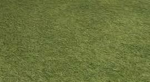 Easy Obby Fun