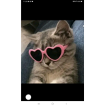 Solorathebeast