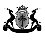 Black Crown Organization 2
