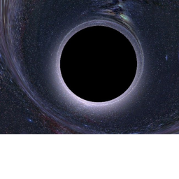 the sewer