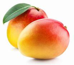 MANGO WARS GROUP