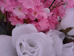 Flowers: D