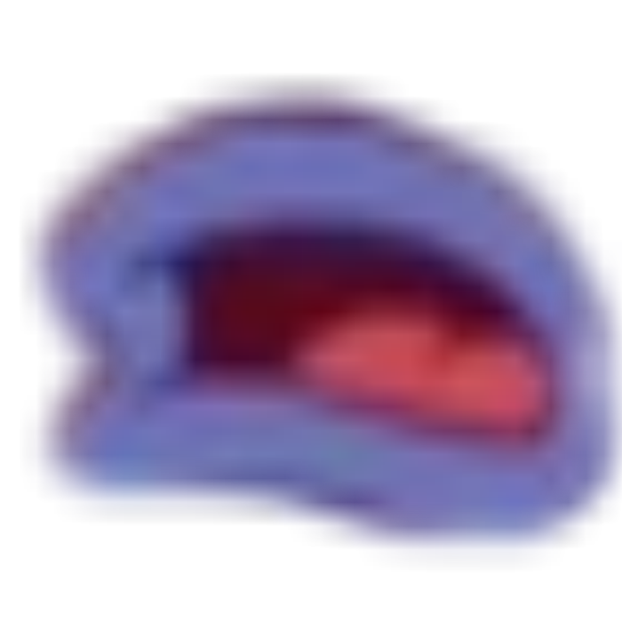fish mouth p Roblox decal