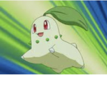 CHIKORITA OwO