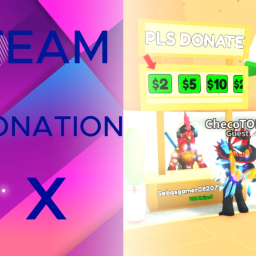 TEAM DONATION X