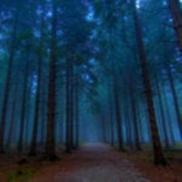 Secret Place To Chill (Night Time)