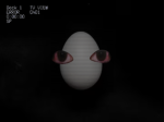 Foundation of the eggs.