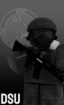 [BRRP] Dienst Speciale Interventies