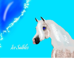 ICE STABLES