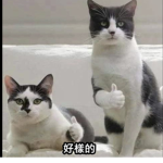 過年抽R