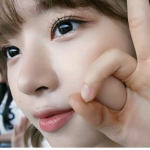 담이네 그룹