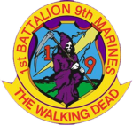 [VWRP] Delta Company, 1st Battalion 9th Marines.