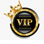 VIP GROUP!