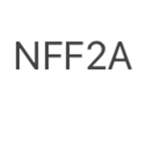 NFF2A