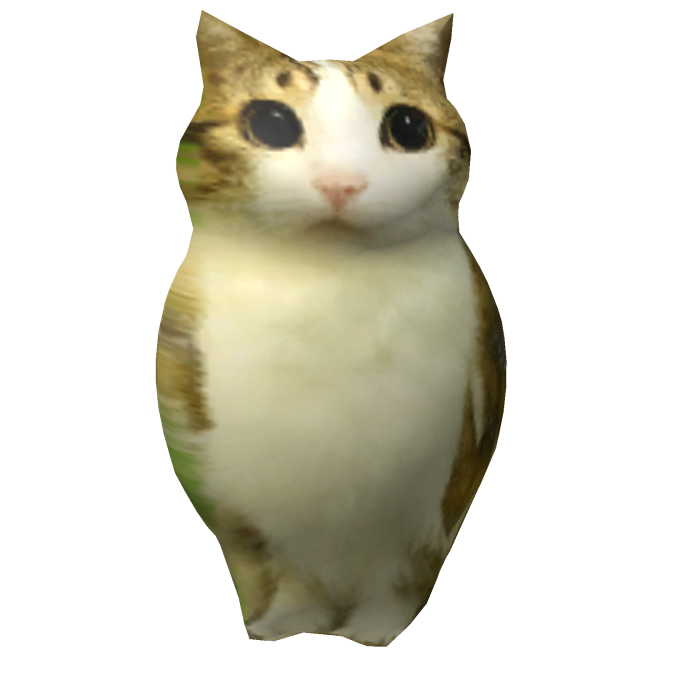 Cat Bird Brainrot