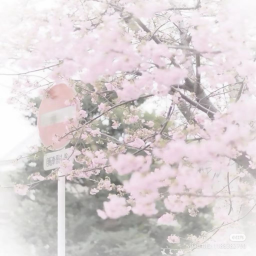 °.❀˖°