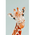 Giraffe Squad:D