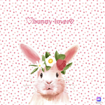 Bunnygirl_roblox1 bunny squad!