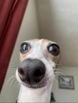 helllloooo000