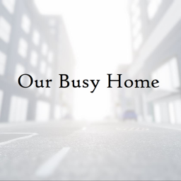 Our Busy Home