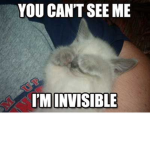 Invisible Club
