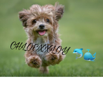 It’s Chloe