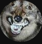 DodgeGustav