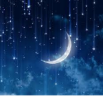 Midnight Starry