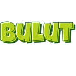 BulutBurhan123 Group