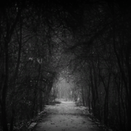 Dark Autumn forest road