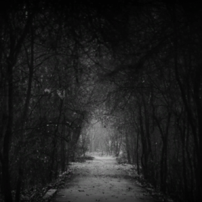 Dark Autumn forest road