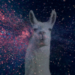 Night light studios home of the llamas